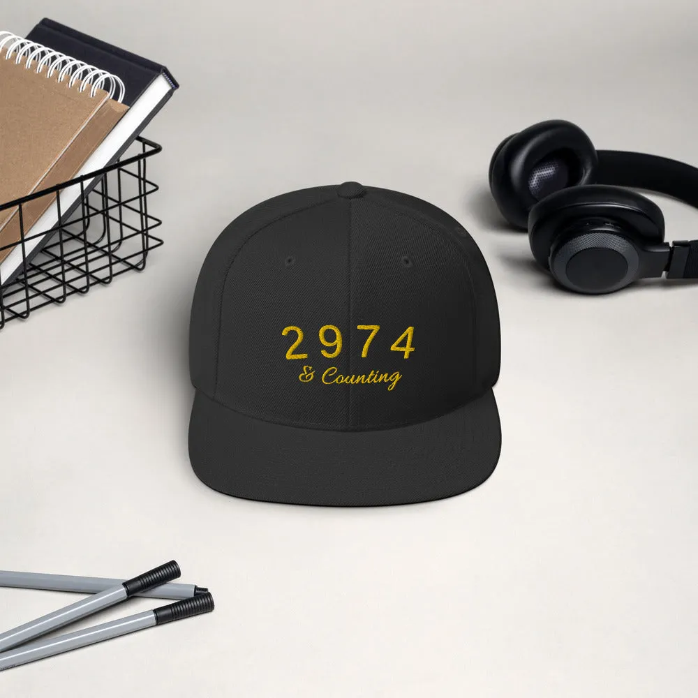 2974 And Counting Snapback Hat, Stephen Curry Embroidered Hat
