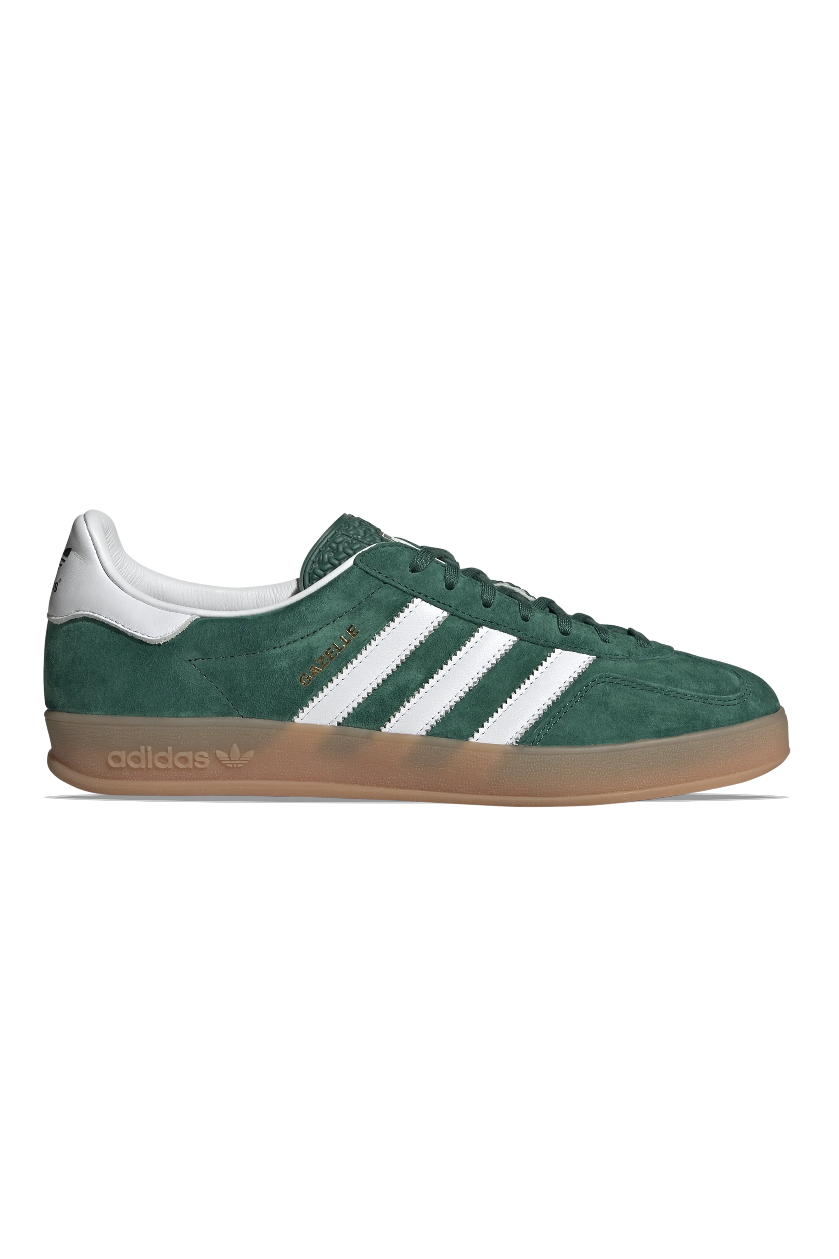 Gazelle Indoor