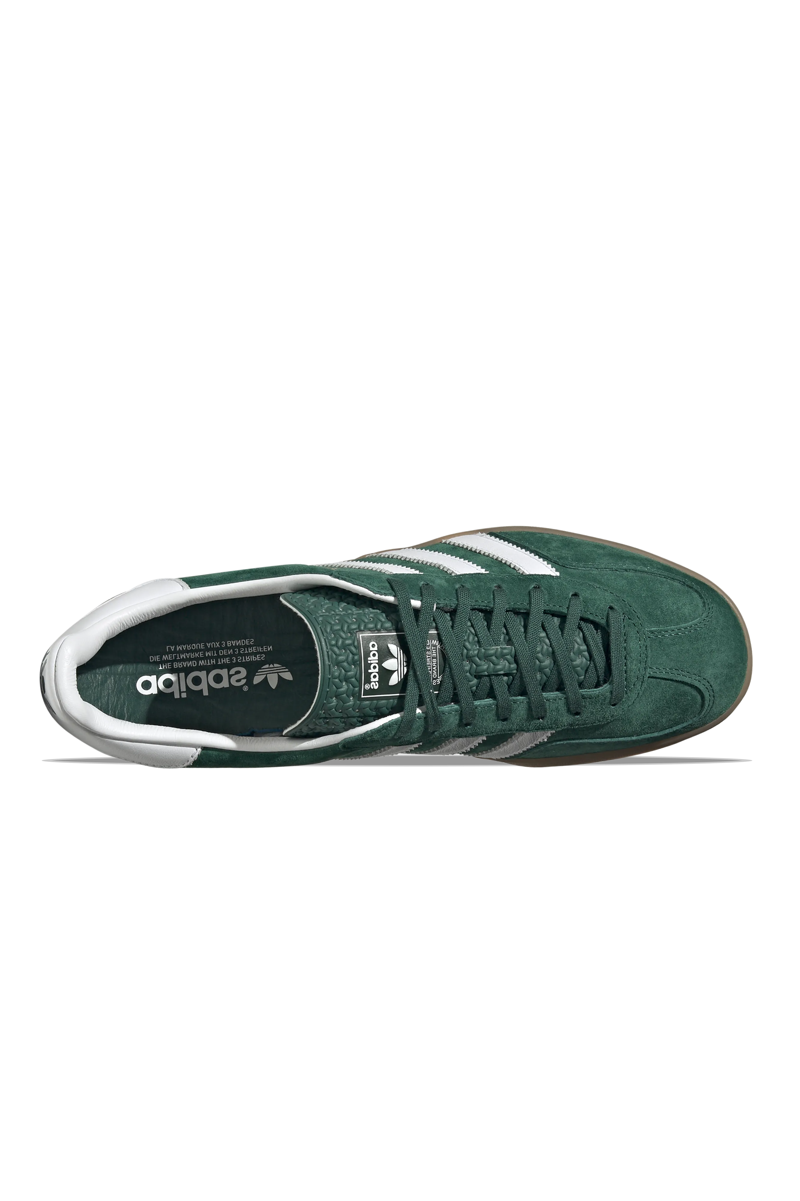 Gazelle Indoor