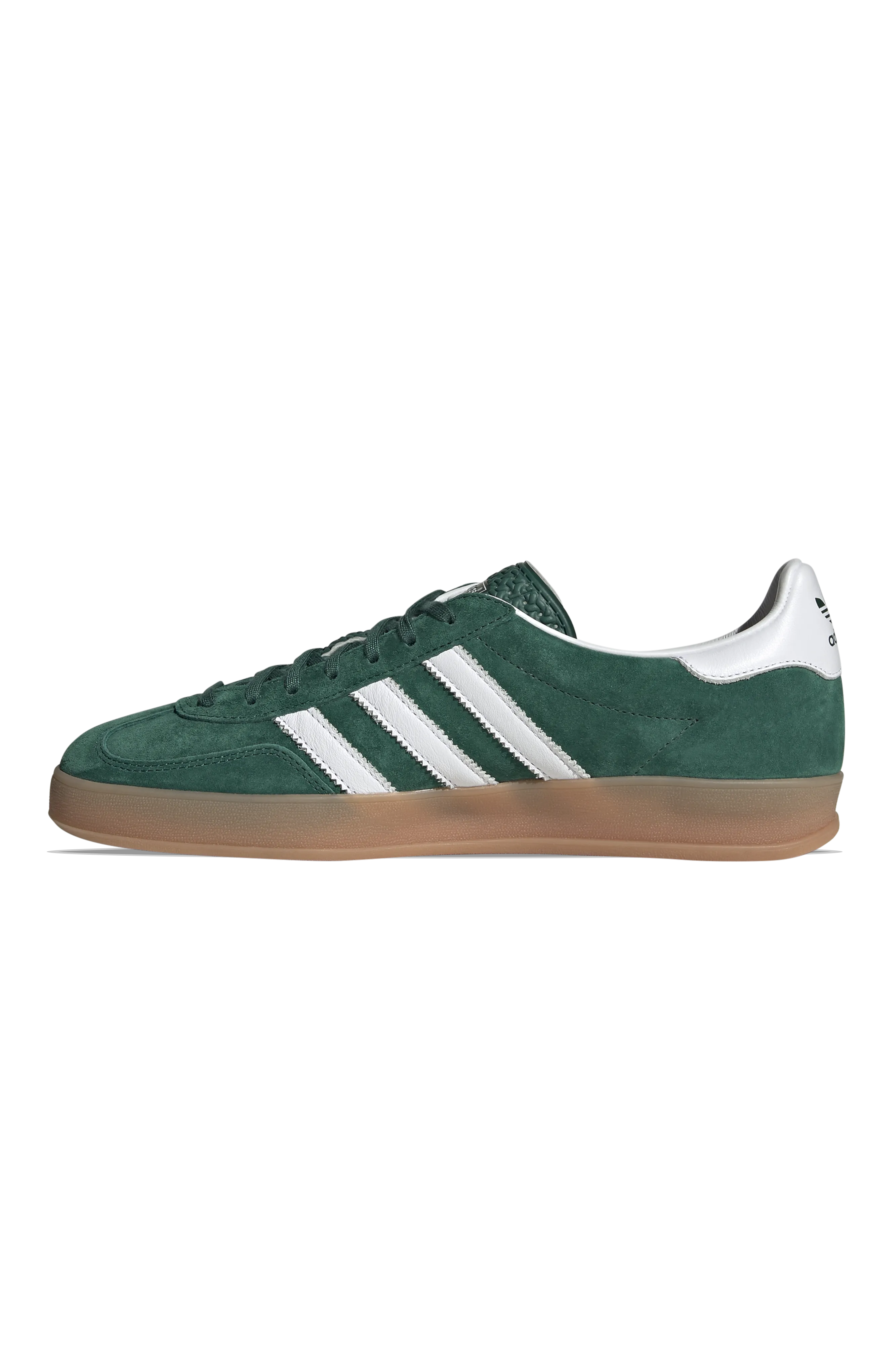 Gazelle Indoor