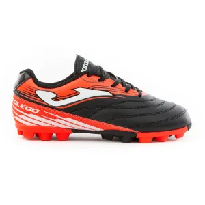 Joma Toledo