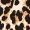 Leopard Print Curve Hem Dress